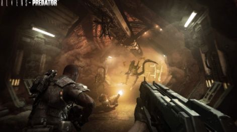 aliens-vs-predator-ps3-xbox-360-screenshot.jpg